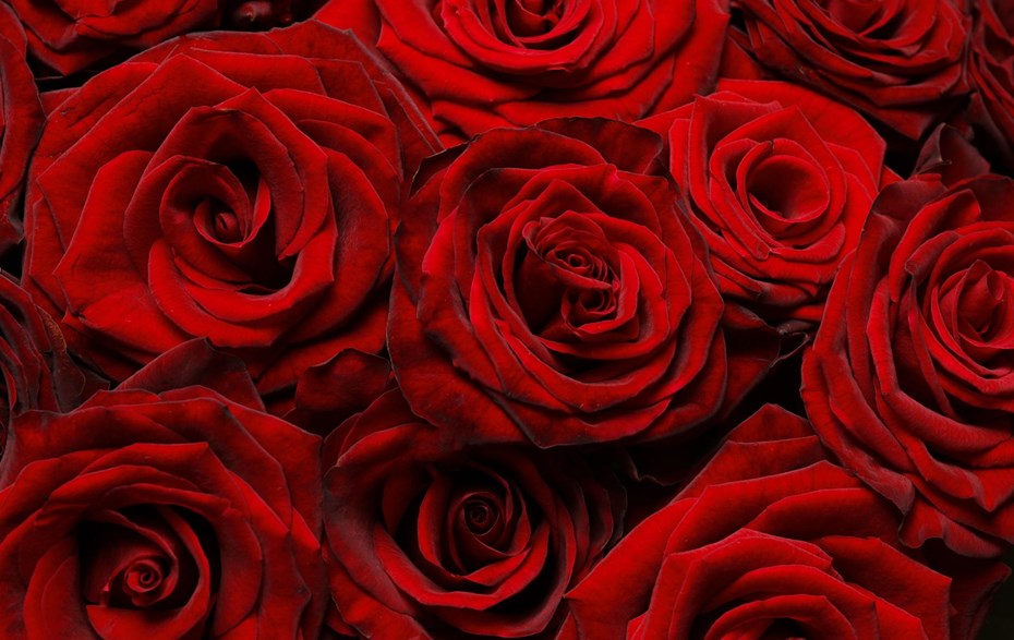 Čestitka predsjednika Gradske skupštine Grada Zagreba u povodu 8. ožujka - Međunarodnog dana žena